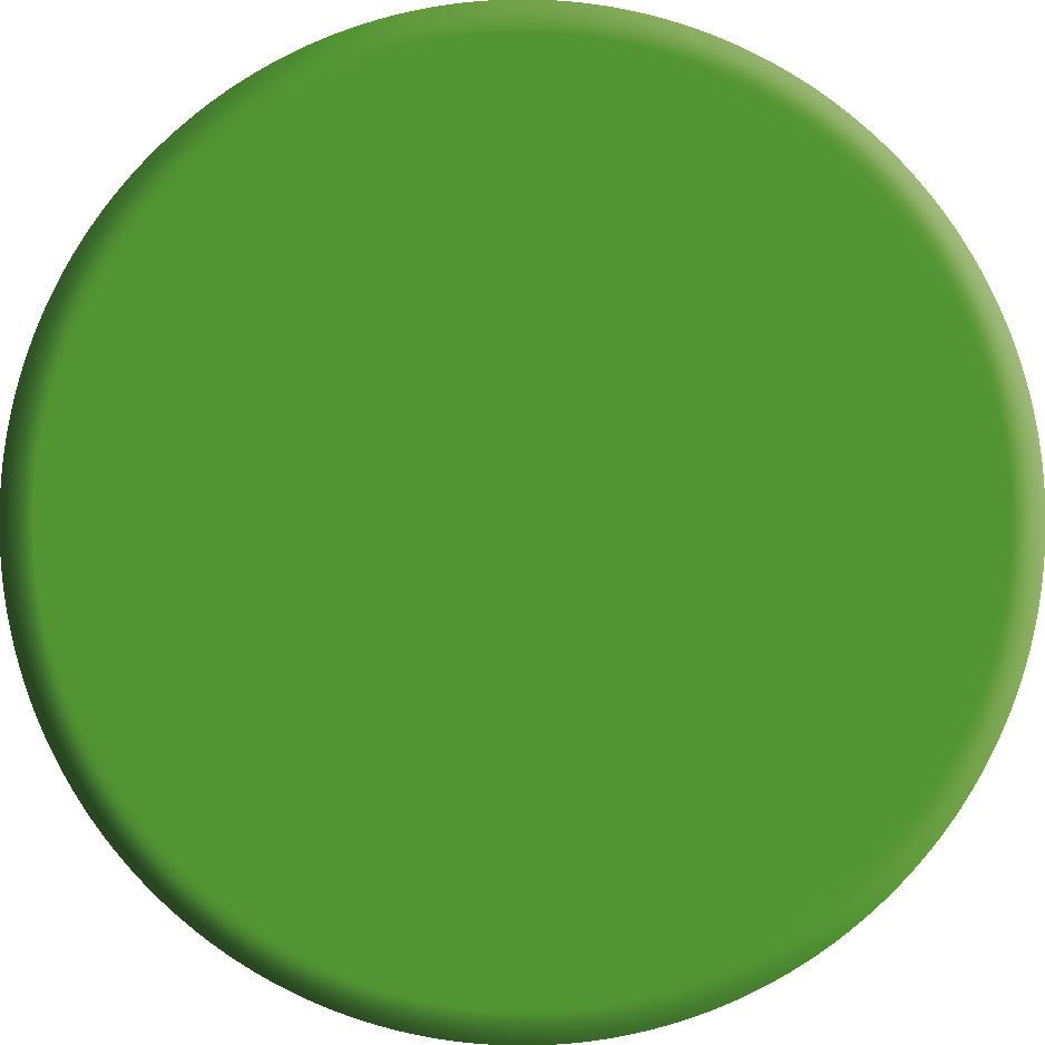 Ausführung / Farbe: grün