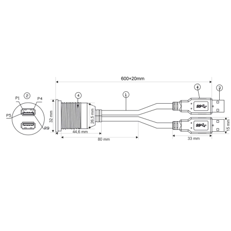 Doppel-USB-A Einbaubuchse mit 60cm Kabel